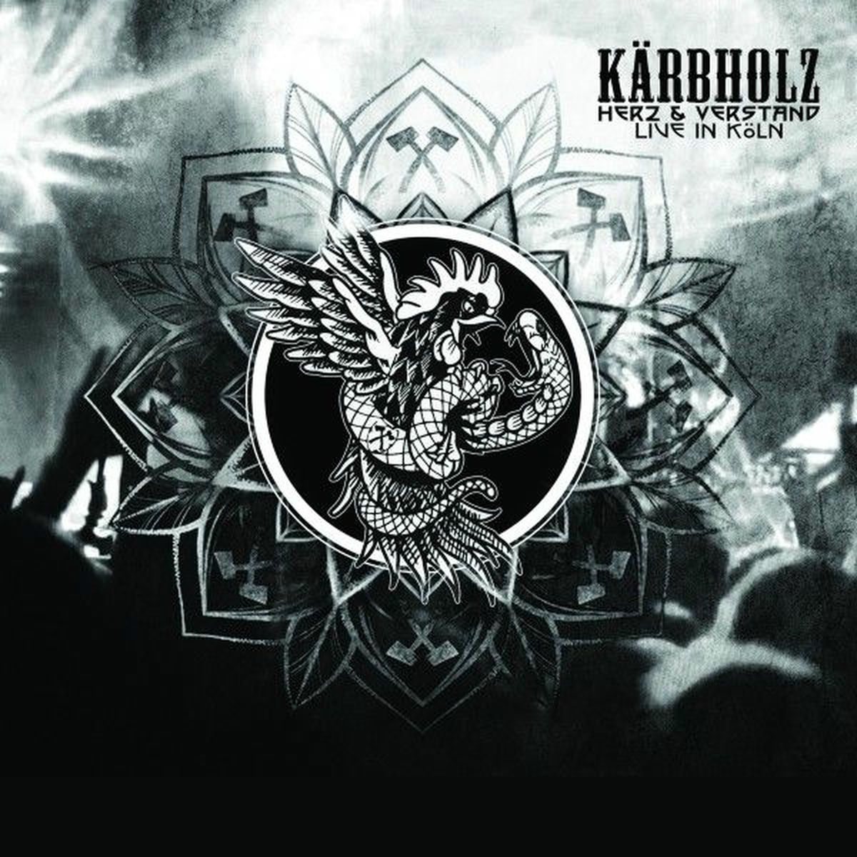 Album cover of Herz & Verstand (Live in Köln)