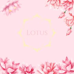 Cover of Lotus