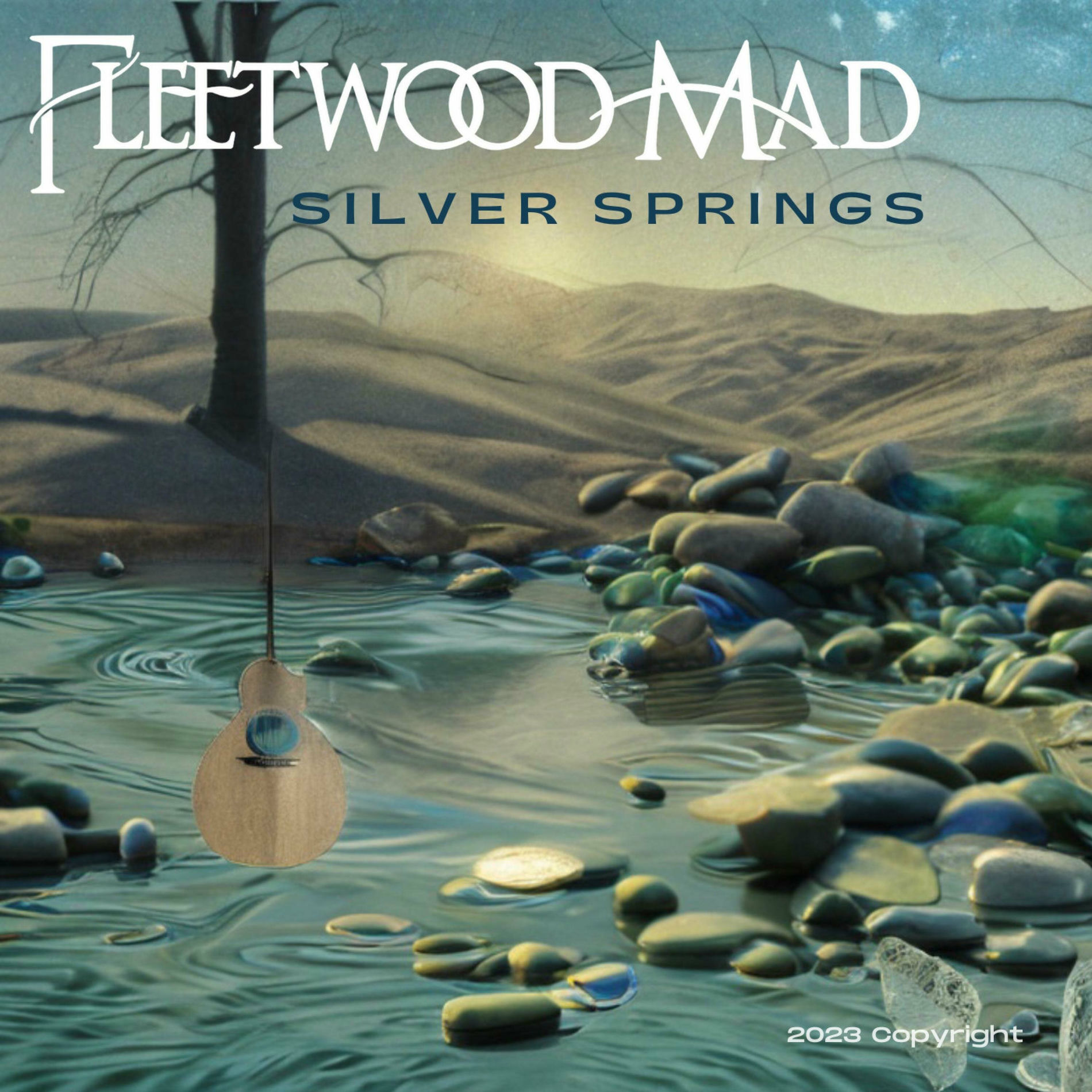 Album cover of Silver Springs