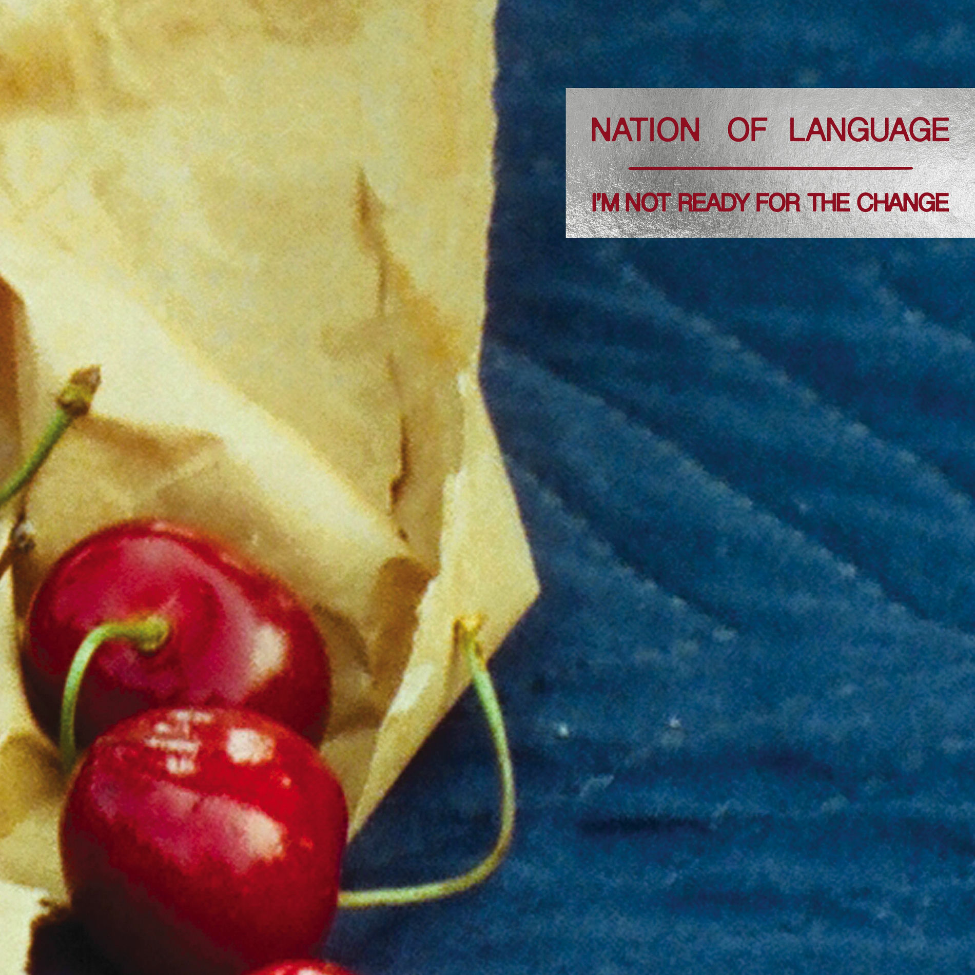Album cover of I'm Not Ready for the Change