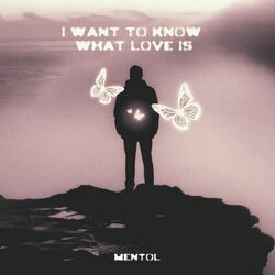 Cover of I Want to Know What Love Is