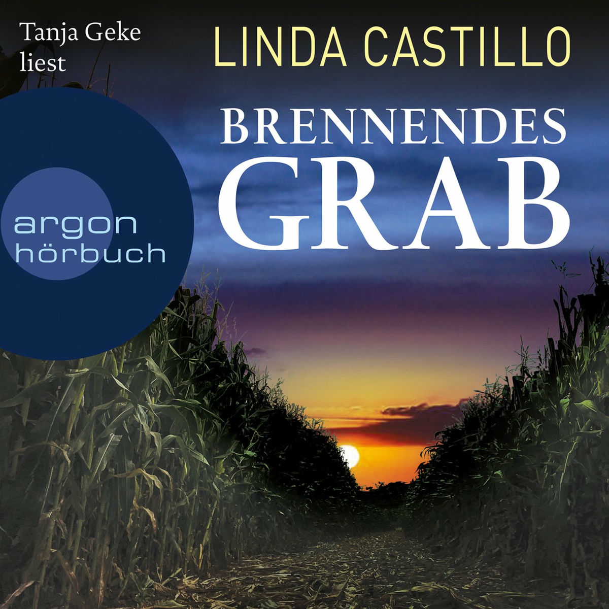 Album cover of Kapitel 1 - Brennendes Grab - Kate Burkholder ermittelt, Band 10