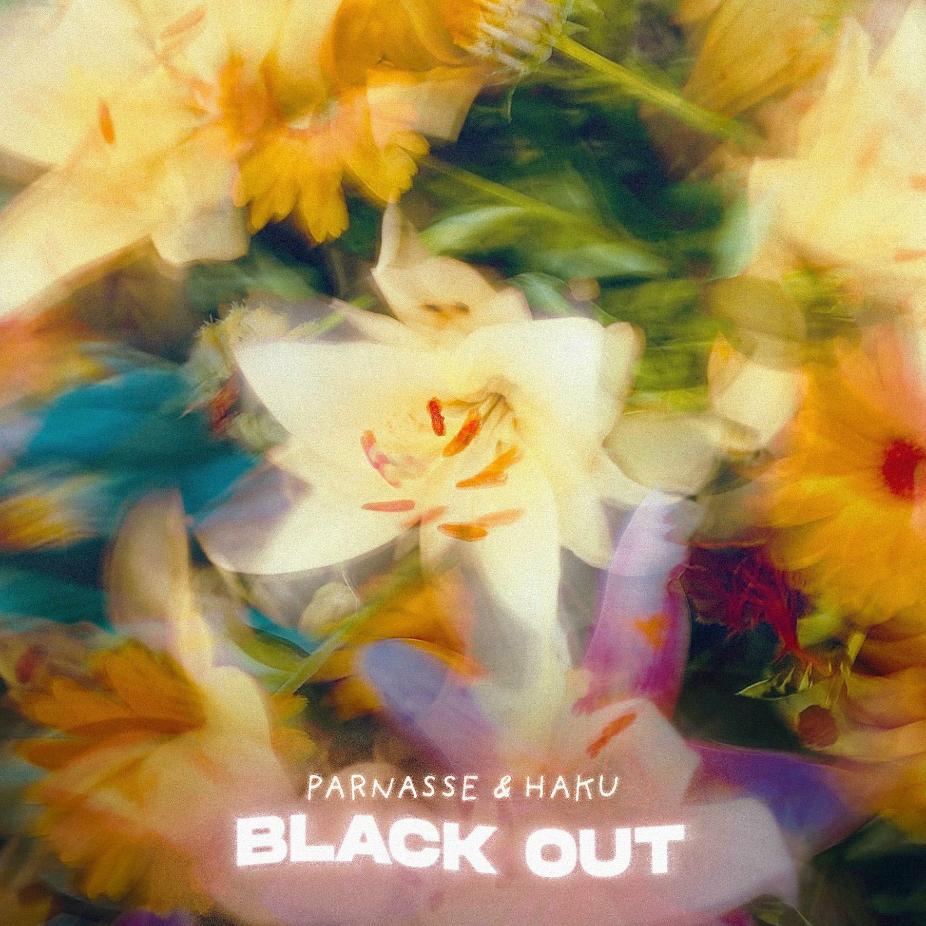 Album cover of Black Out (feat. Haku)