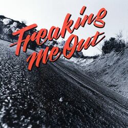 Cover of Freaking Me Out
