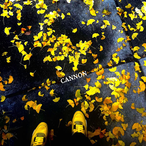 Cannon