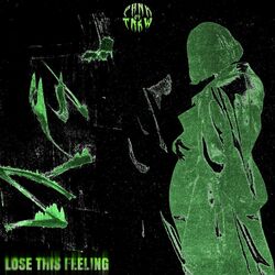 Cover of Lose This Feeling
