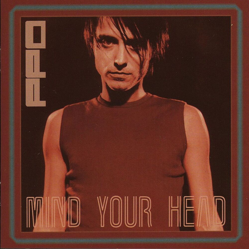 Picture of Mind Your Head