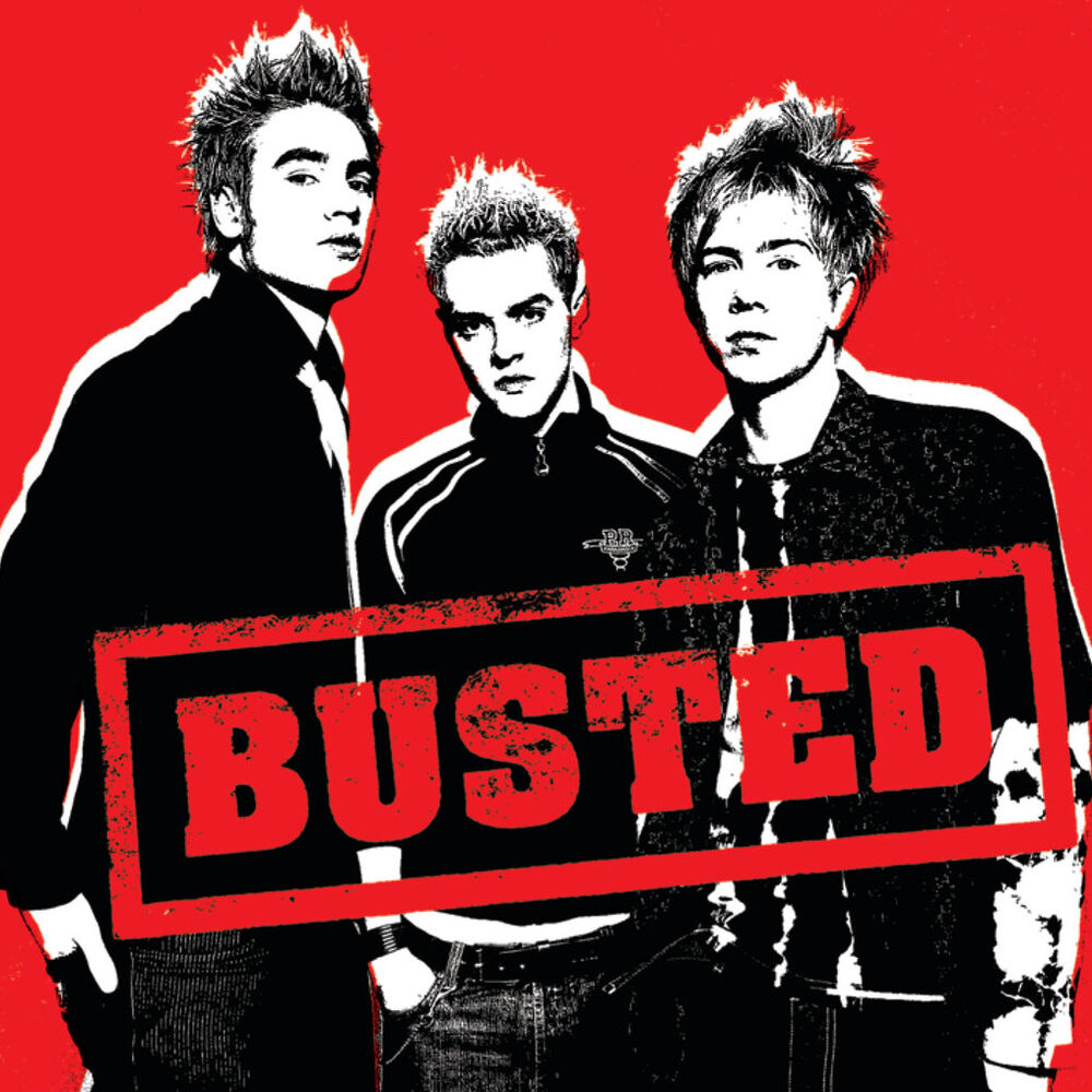 Picture of Busted