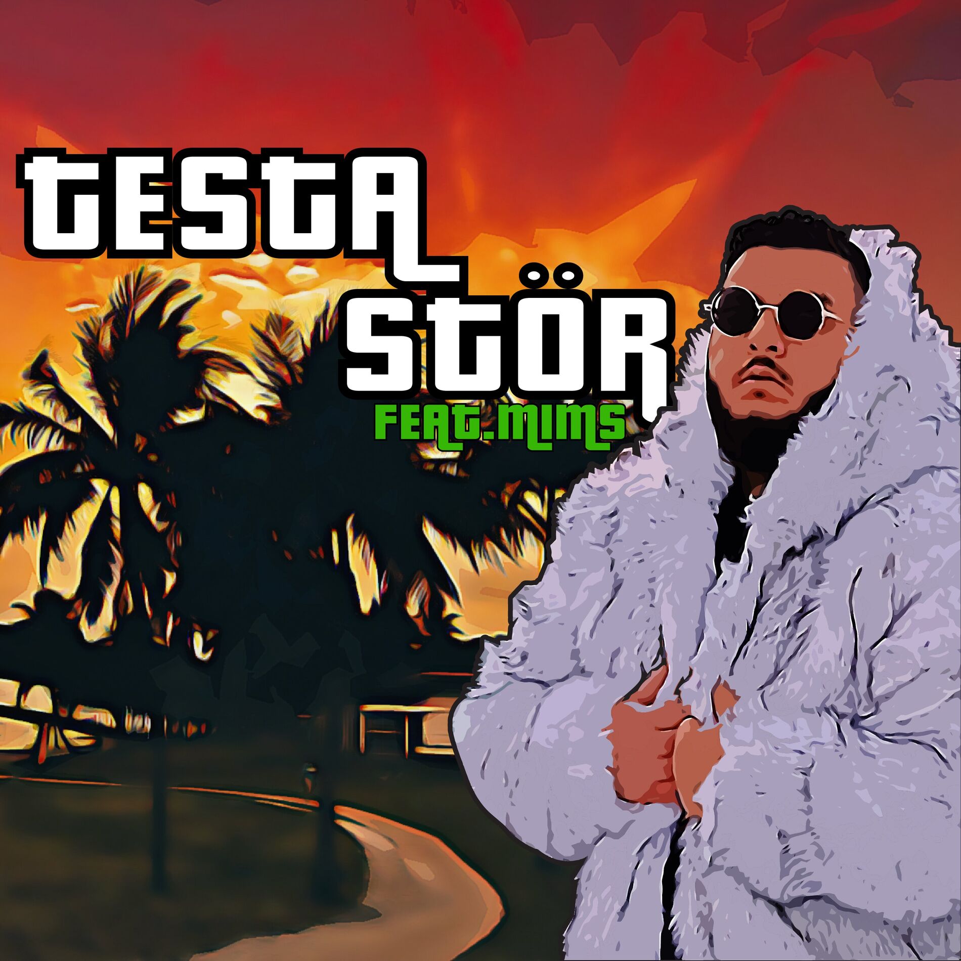 Album cover of Testa Stör