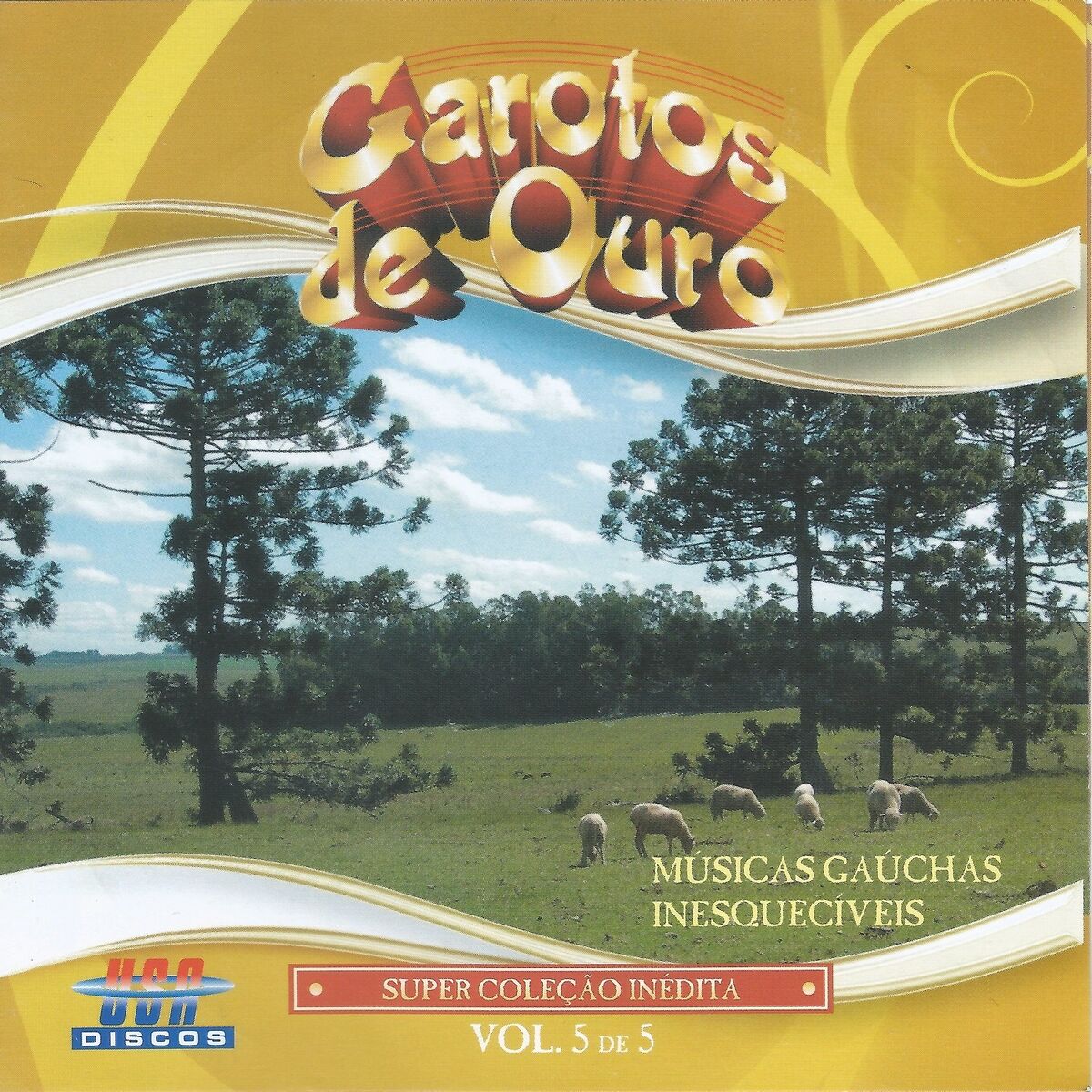 Album cover of Músicas Gaúchas Inesquecíveis, Vol. 5