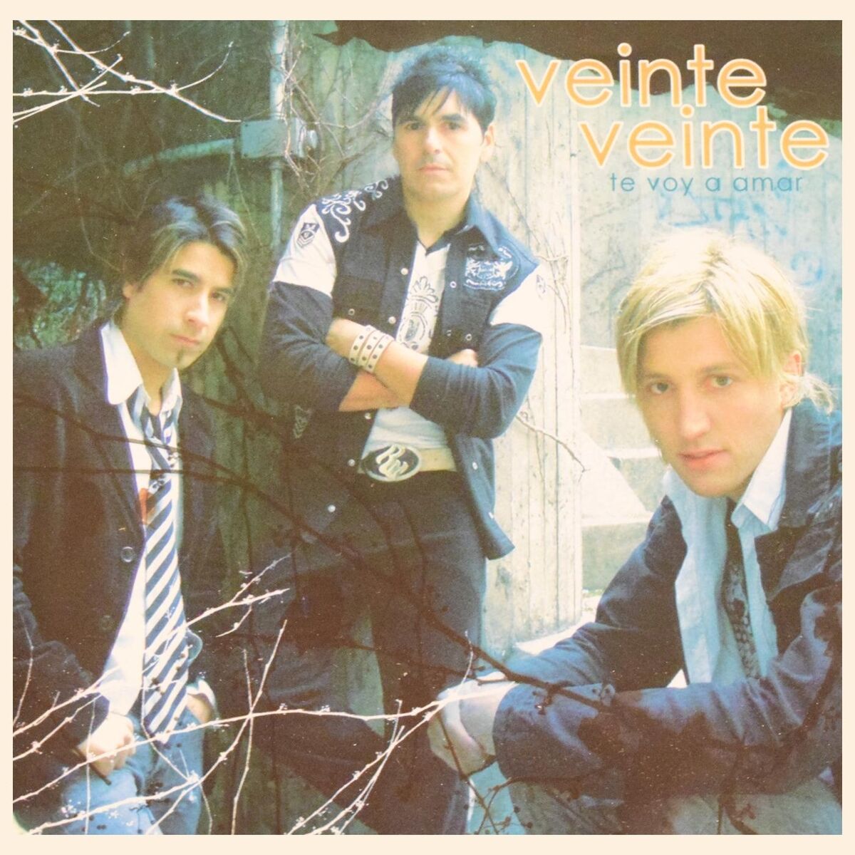 Album cover of Te Voy a Amar