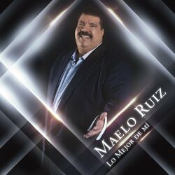Cover of Lo Mejor De Mí