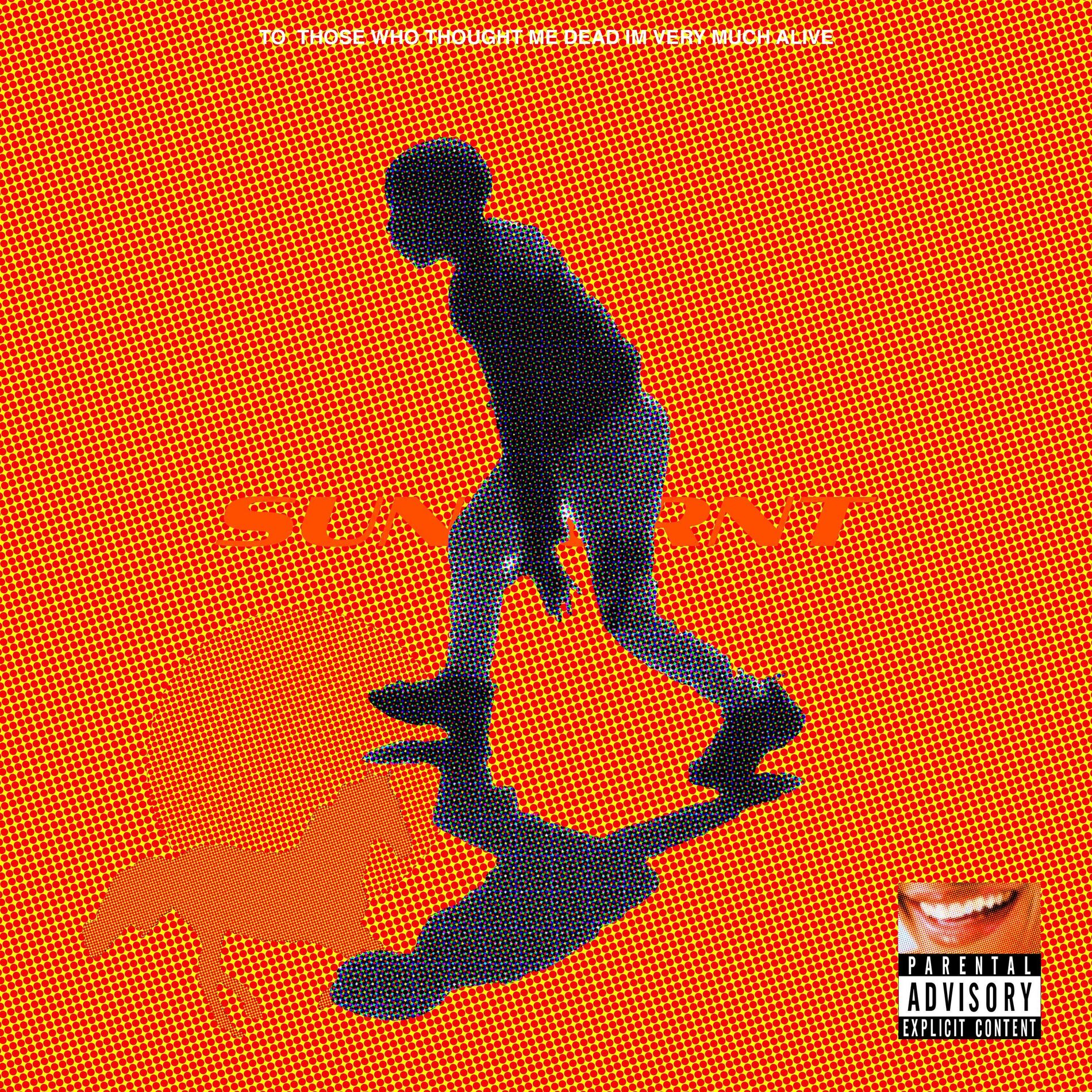 Album cover of Sunburnt