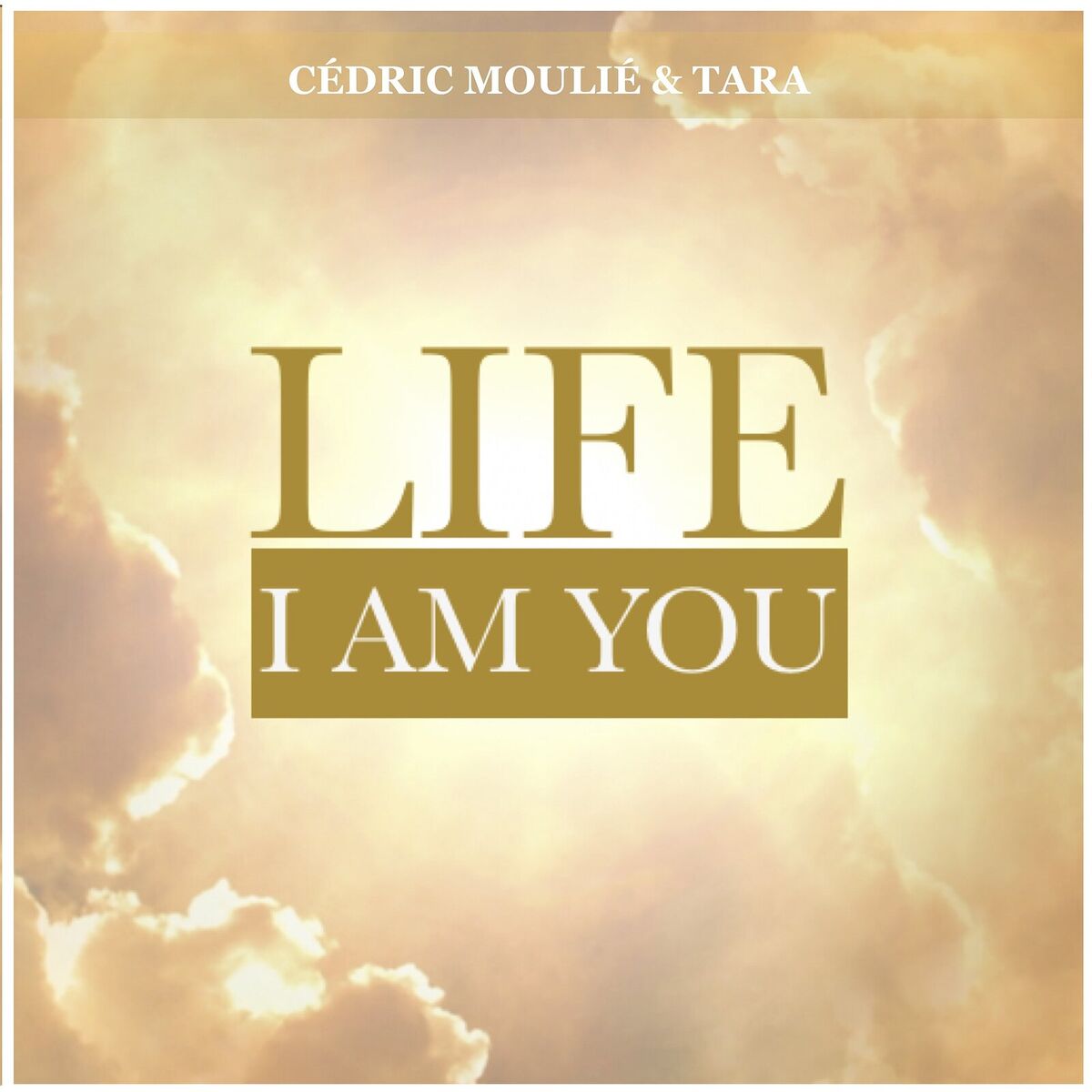Album cover of Life - I Am You