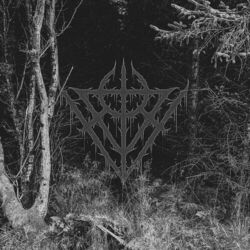 Cover of Warrior