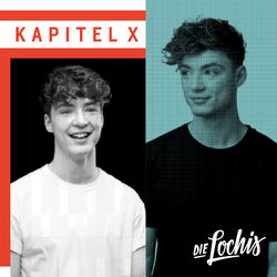Cover of Kapitel X