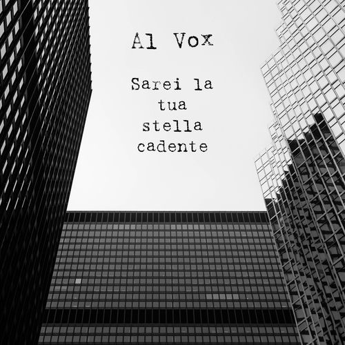 Sarei La Tua Stella Cadente