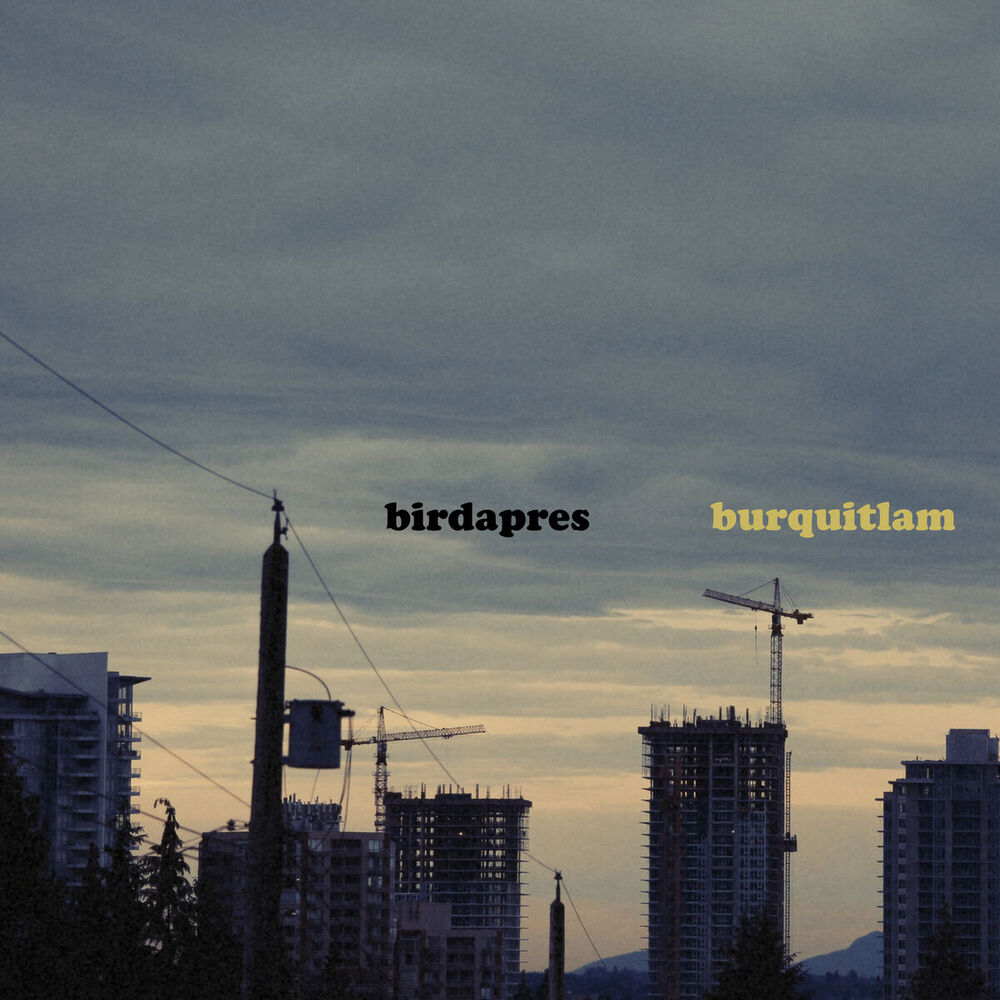 Picture of Burquitlam