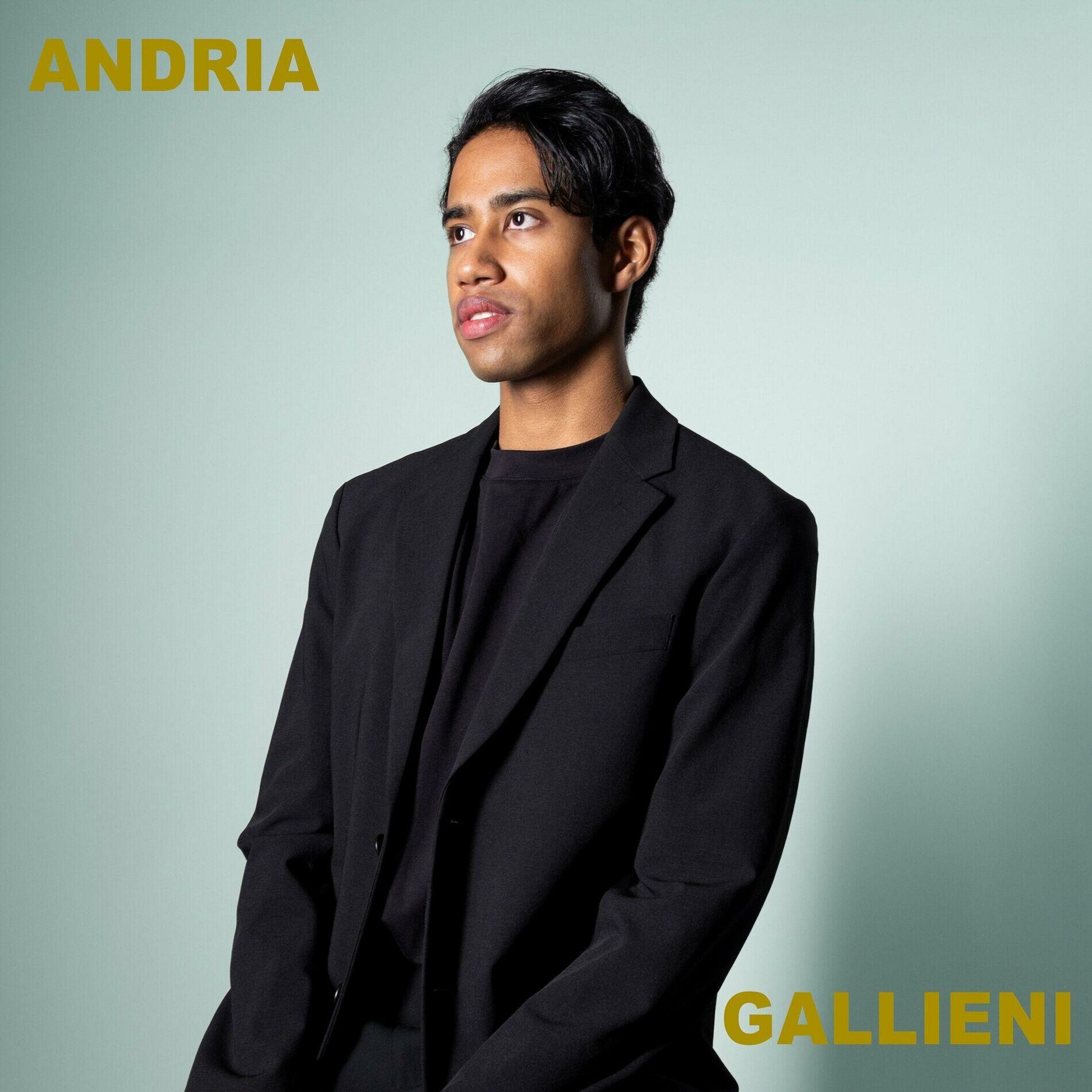 Album cover of Gallieni