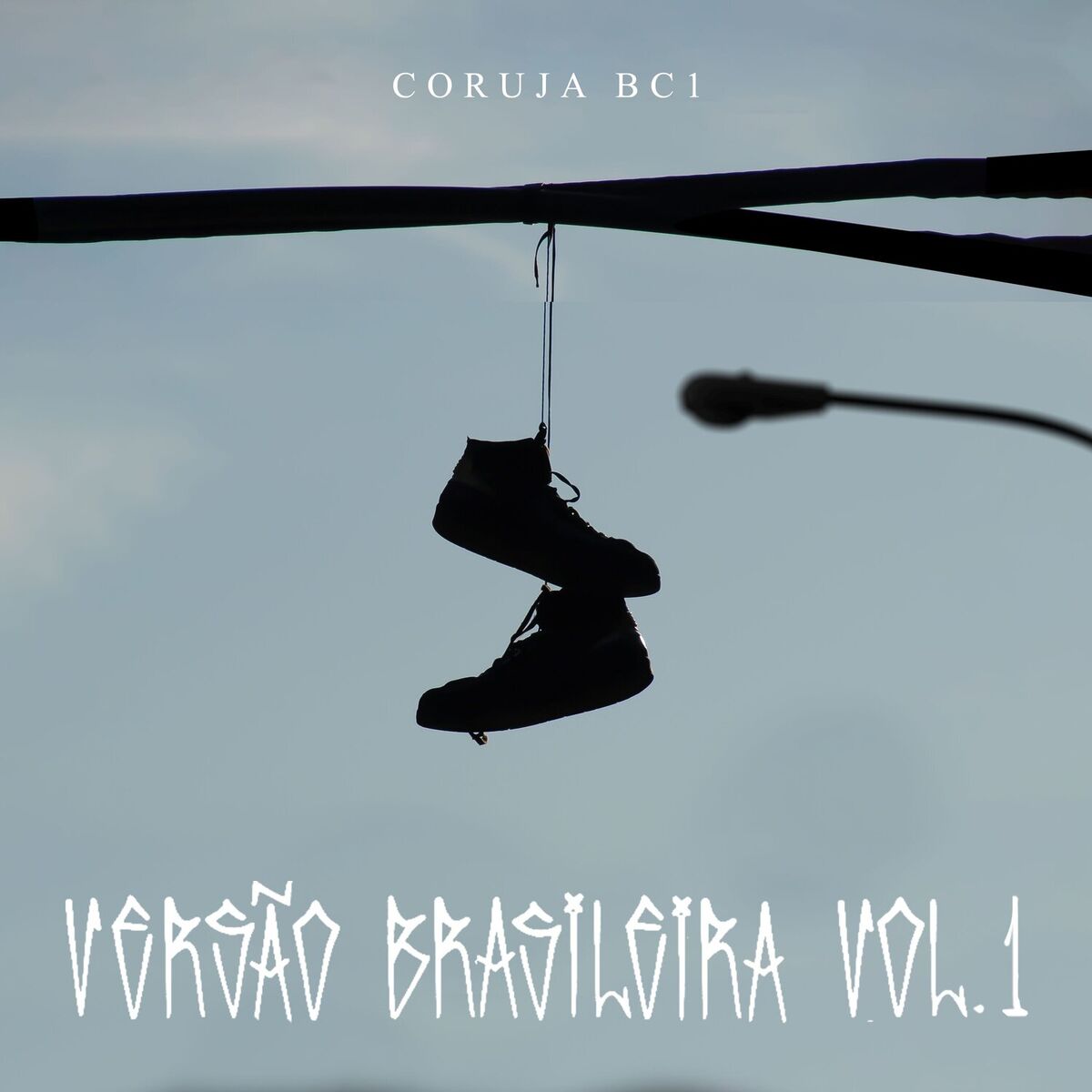Album cover of Proibidão