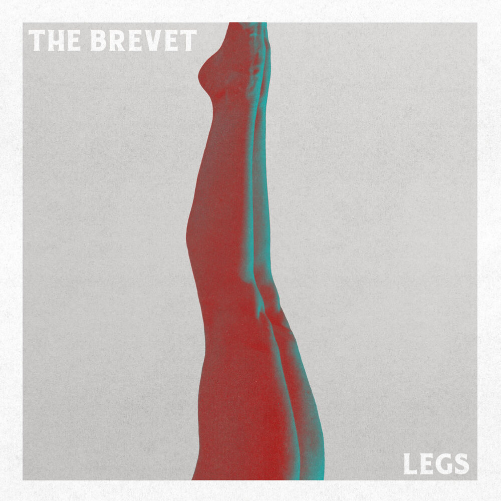 Picture of Legs