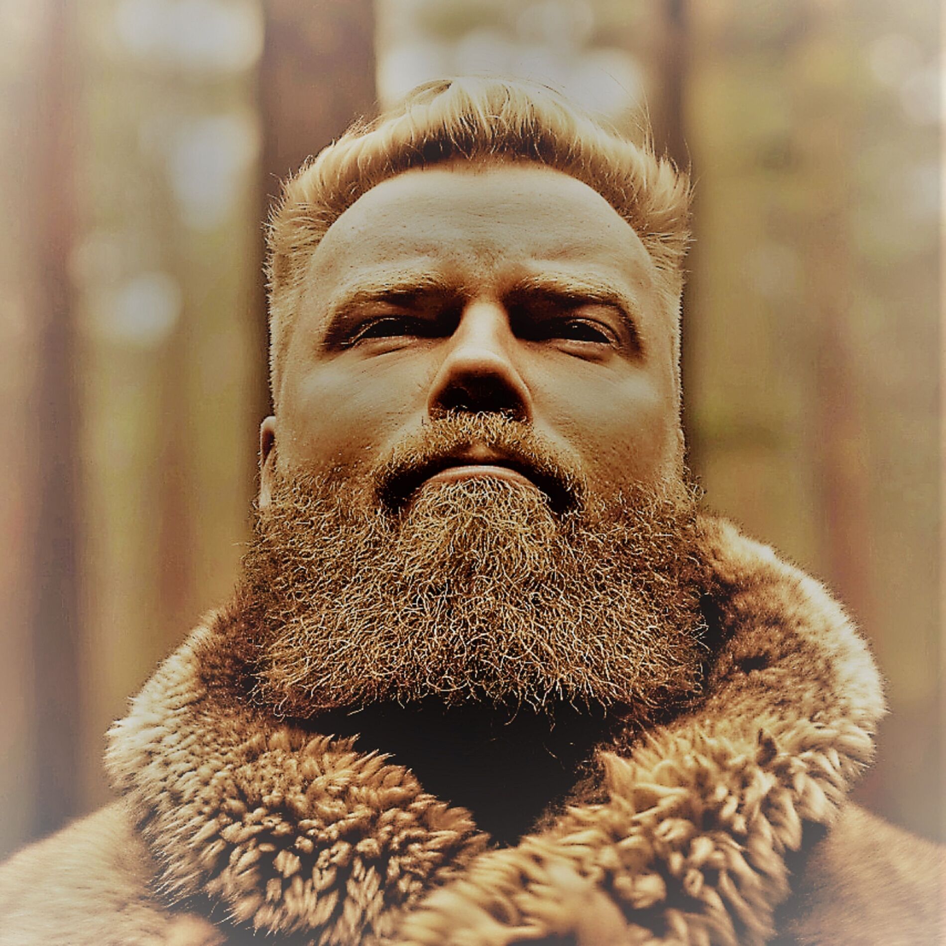 Album cover of Ингерманландия (забытая земля)
