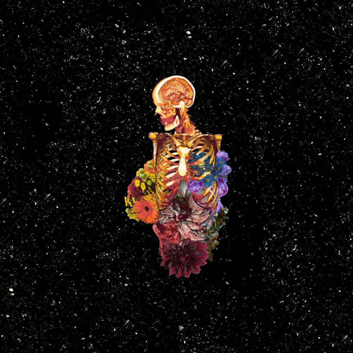 Album cover of Visceral