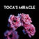 Toca's Miracle by CDM Project album cover