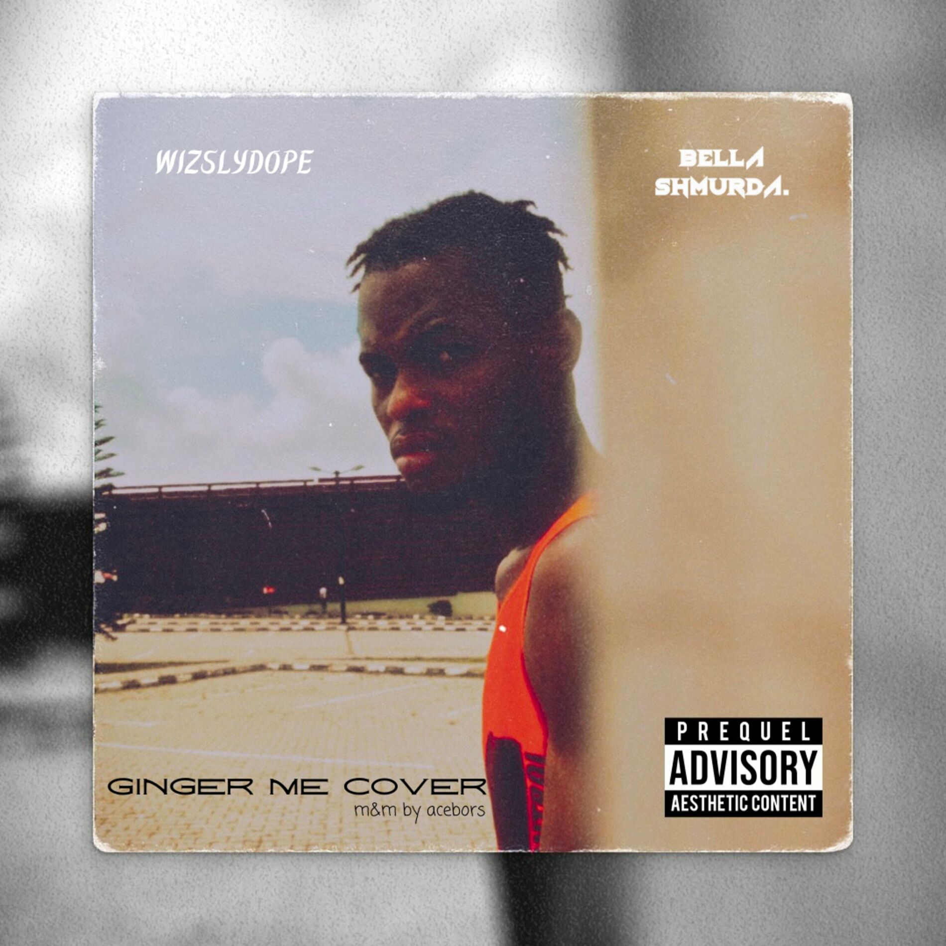 Album cover of Ginger Me Cover