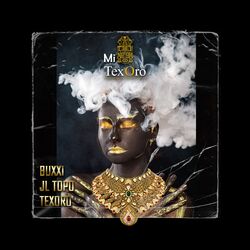 Cover of Mi Texoro