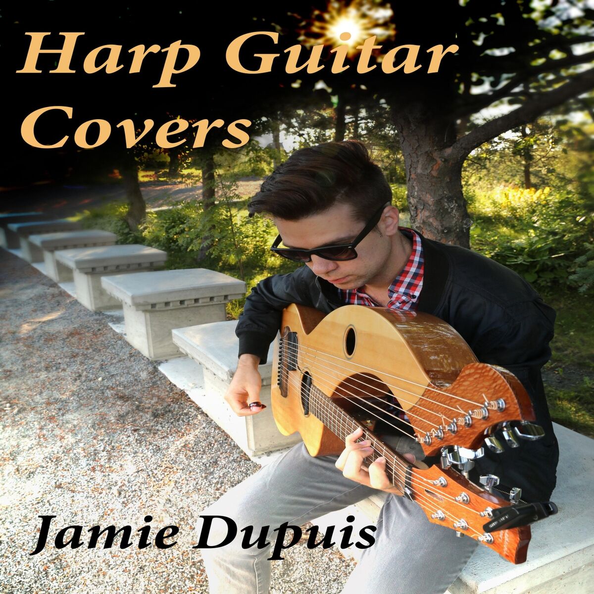 Album cover of Harp Guitar Covers