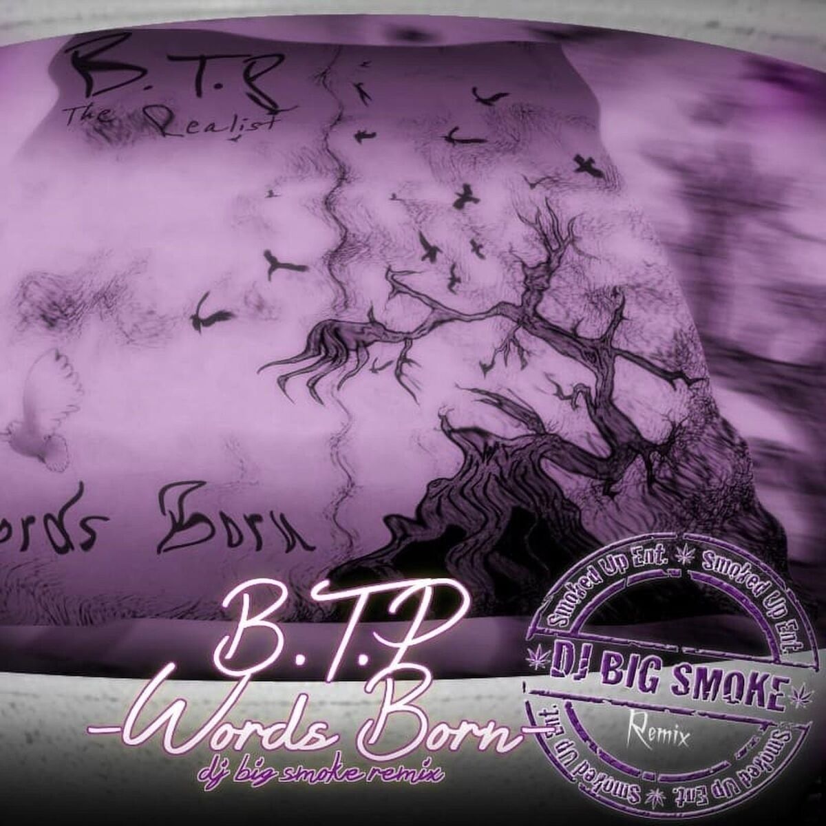 Album cover of B.T.P.: Words Born (DJ Big Smoke Remix)