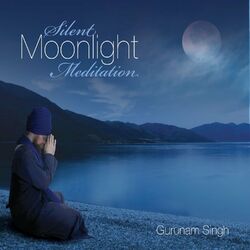 Cover of Silent Moonlight Meditation