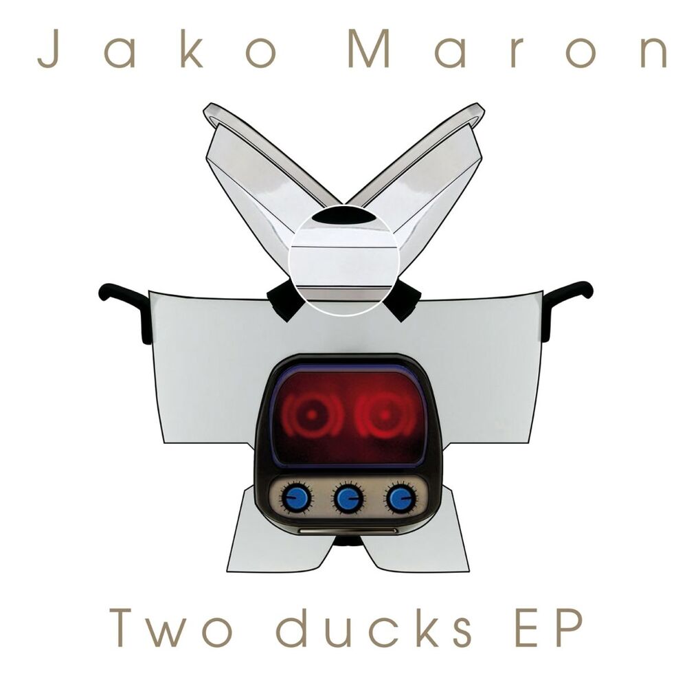 Picture of Two Ducks