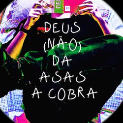 Deus (não) dá asas à cobra
