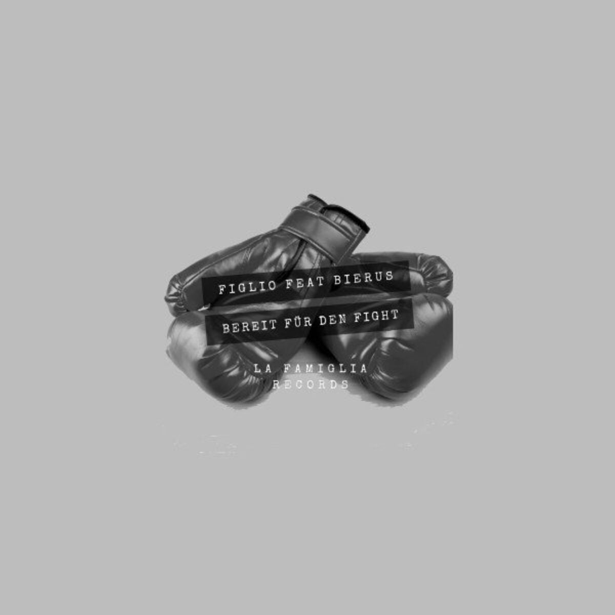 Album cover of Bereit für den Fight