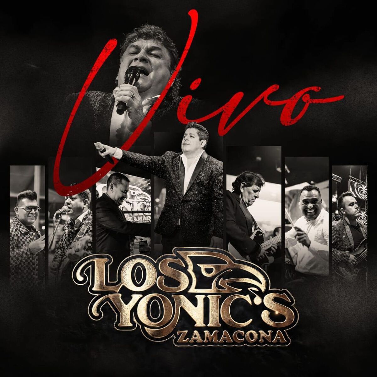 Album cover of Vivo (En Vivo)