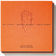 Des Knaben Wunderhorn: No. 10, Lob des hohen Verstandes (Arr. for Voice & Chamber Ensemble)
