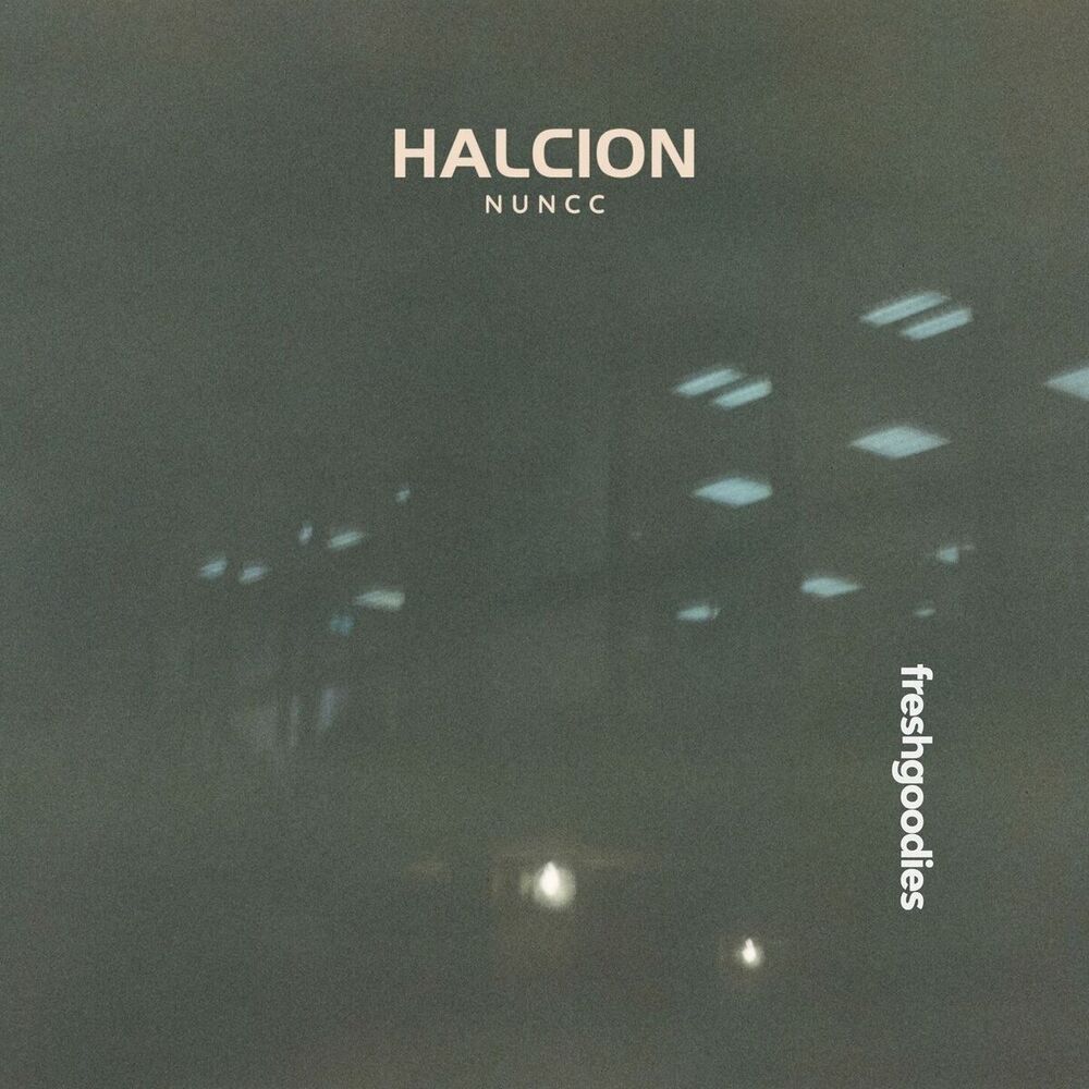 Picture of Halcion