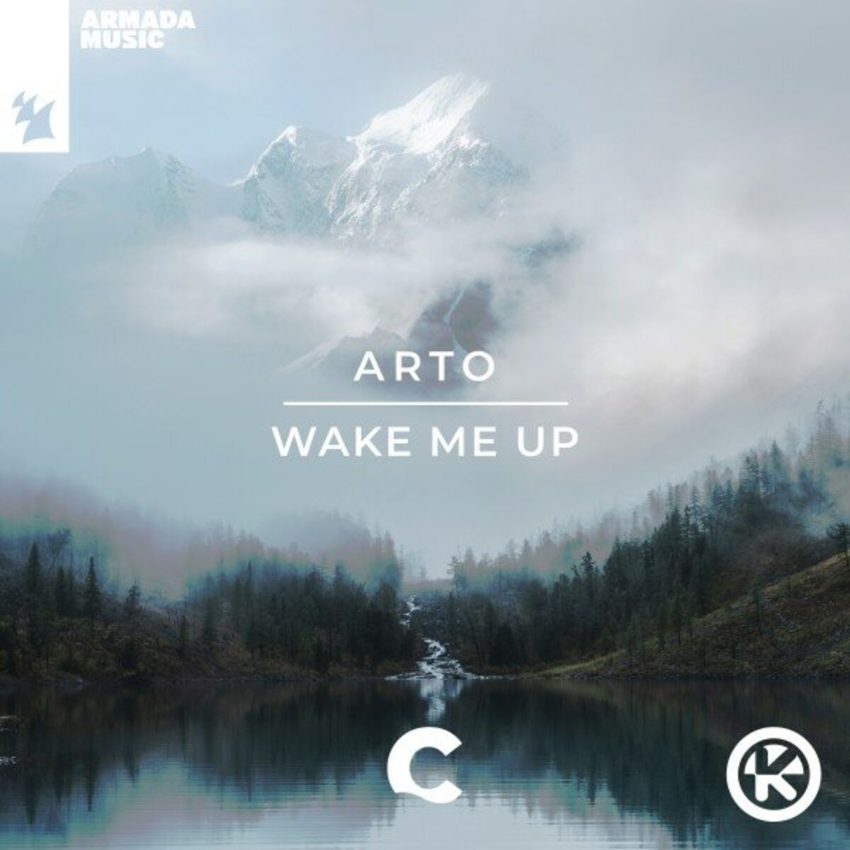 Album cover of Wake Me Up