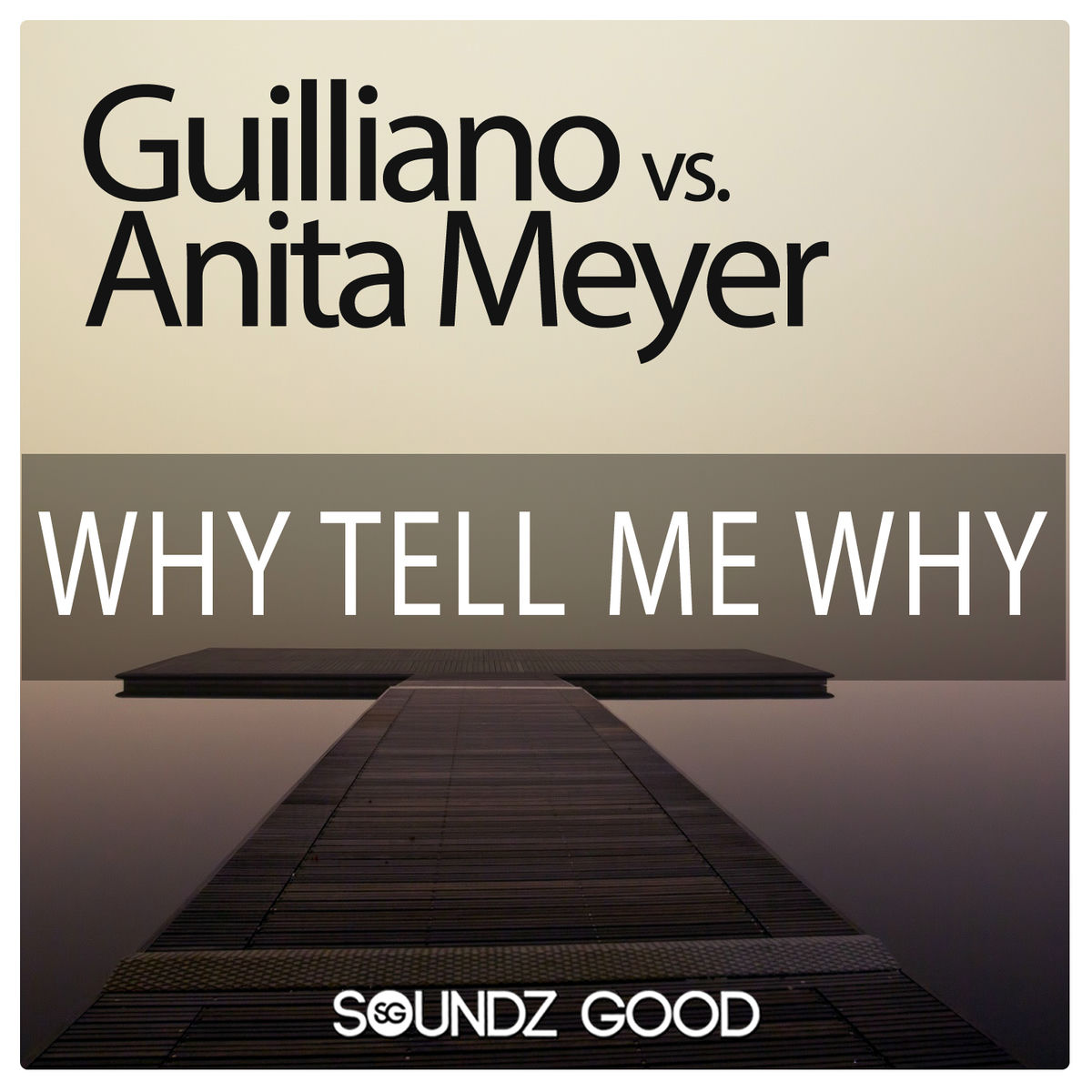 Album cover of Why Tell Me Why