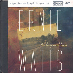 Cover of The Long Road Home