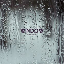 Cover of Window