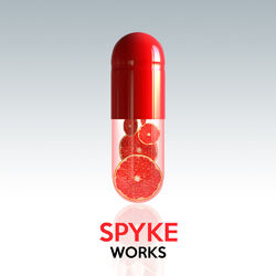 Cover of Spyke Works