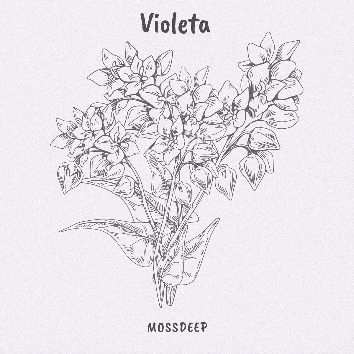 Album cover of Violeta