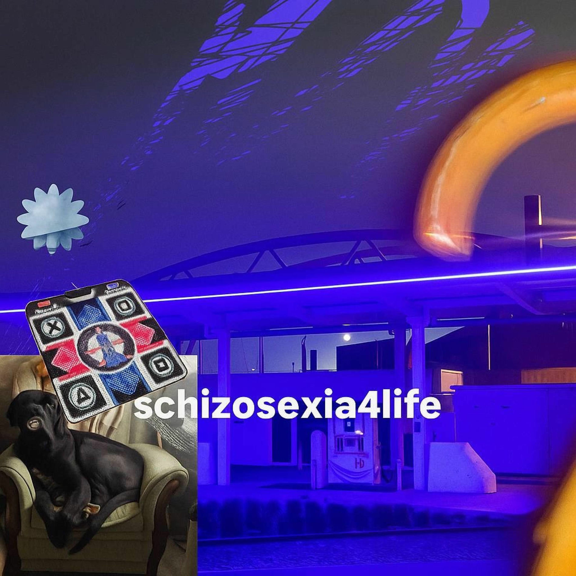 Album cover of schizosexxxia