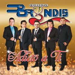 Cover of Adicto A Ti