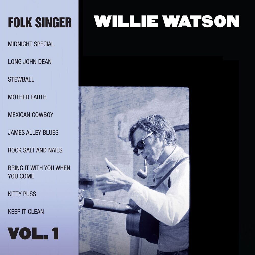 Picture of Folk Singer, Vol. 1