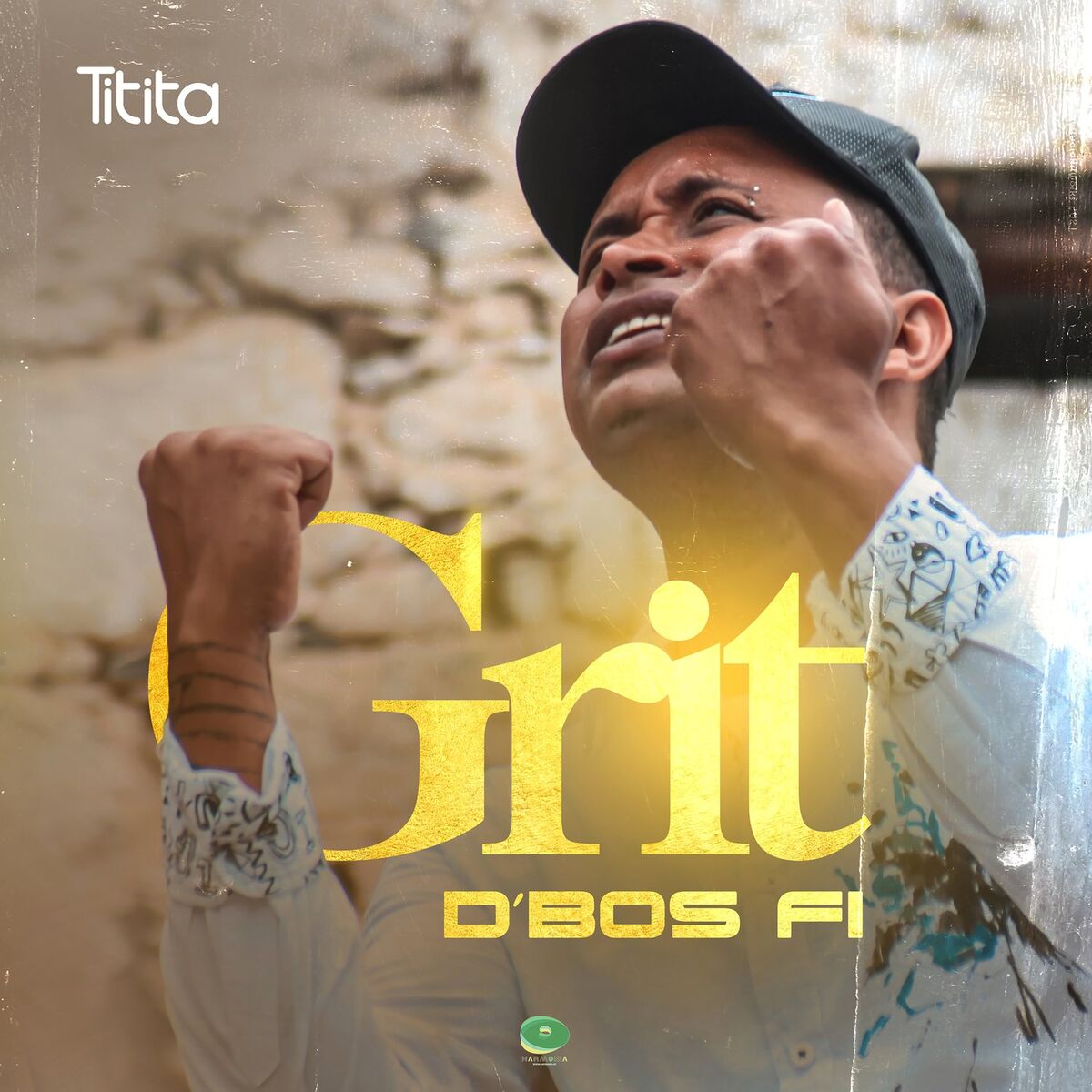 Album cover of Grit de Bos Fi