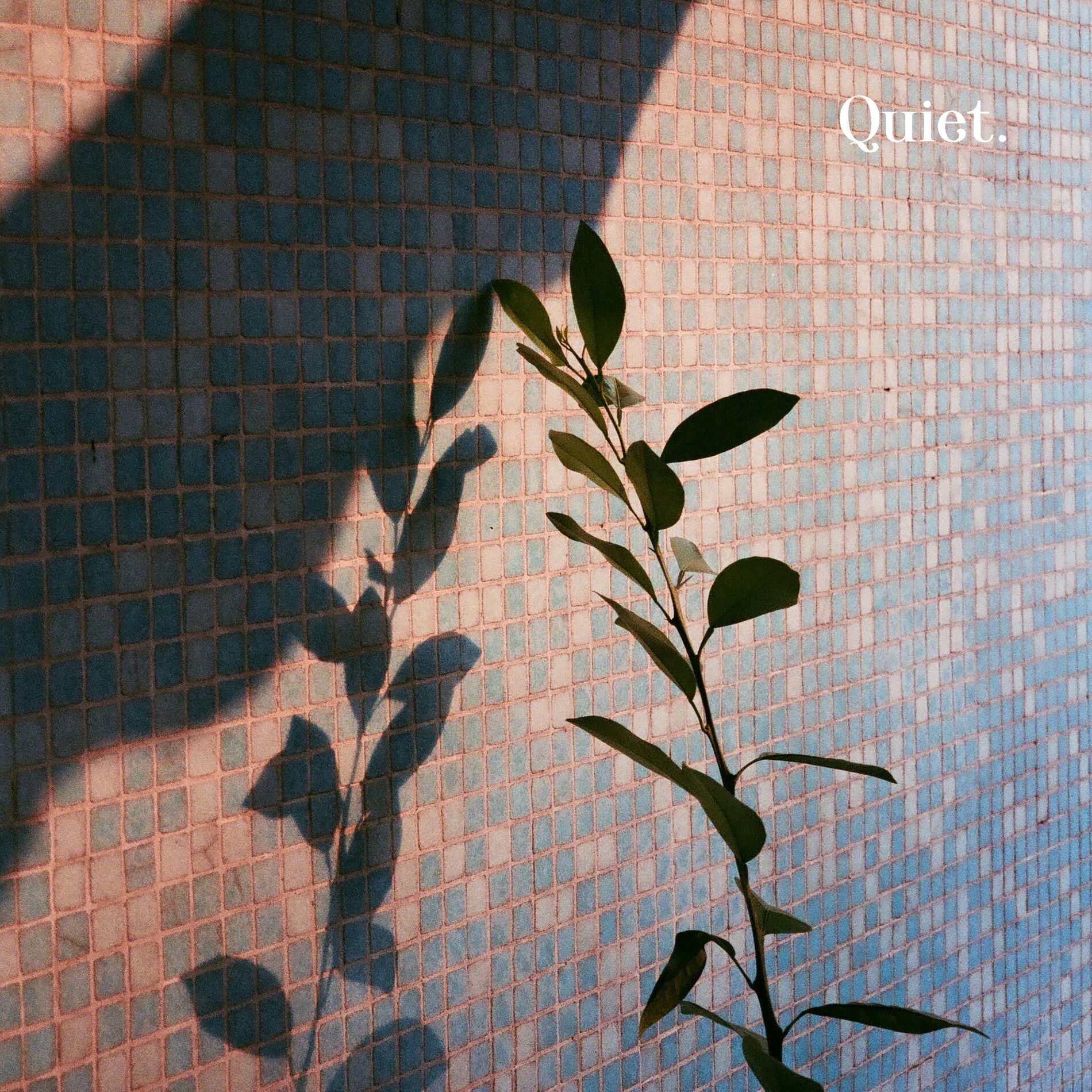 Album cover of Quiet.
